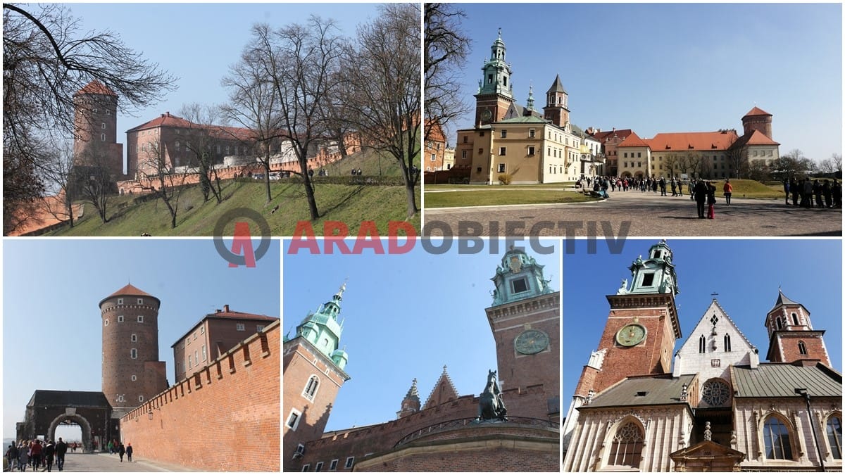 Castelul Wawel 1