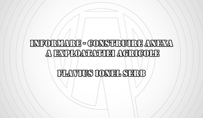 informare flavius serb